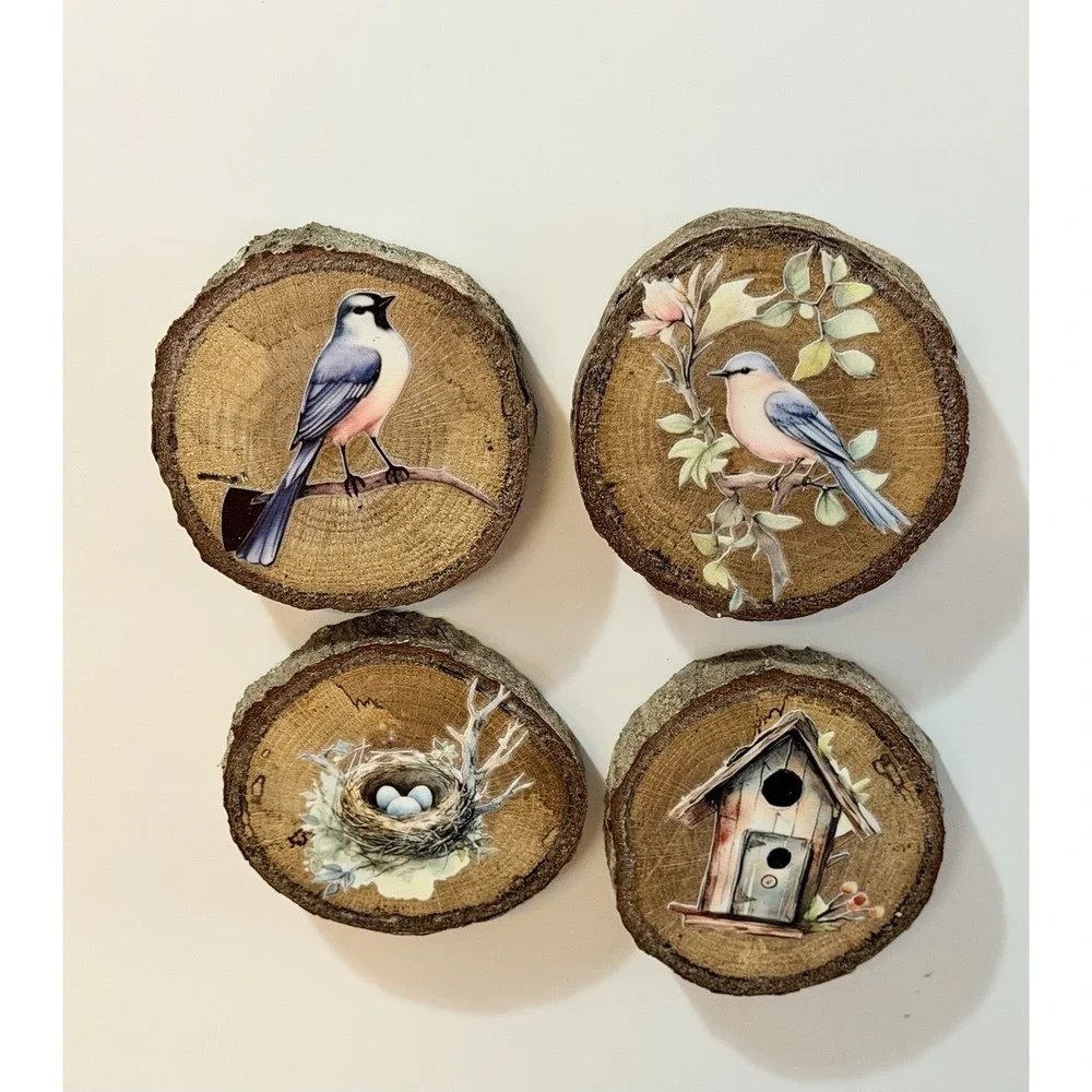 Set Of 4 Natural Oak Wood Bark Bird Magnets